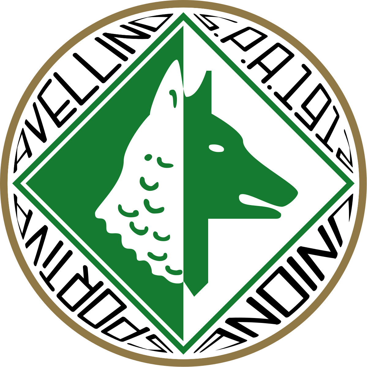 Unione Sportiva Avellino 1912